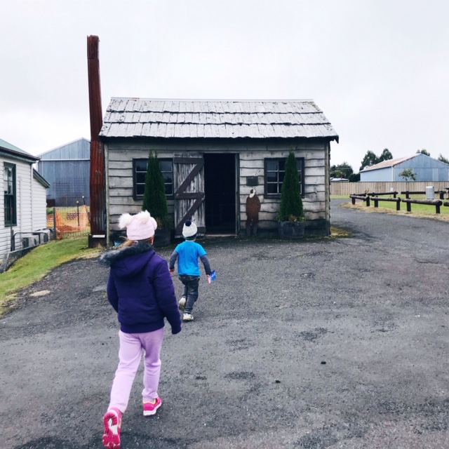 Top 5 low cost camp Tasmania - Waratah