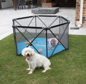 Baby Toddler Playpen