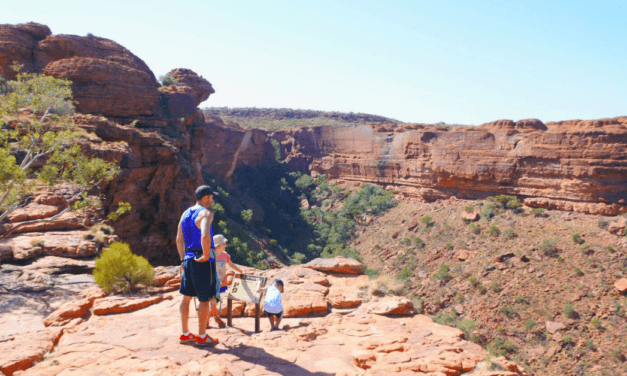 8 Tips to Help You Plan Your Trip to Kings Canyon
