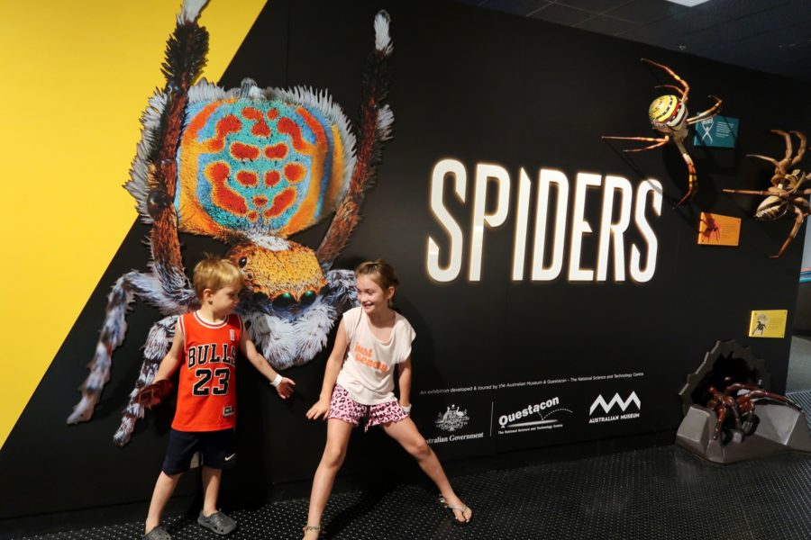 ‘Spiders’! The perfect wet weather indoor activity in Darwin with kids.