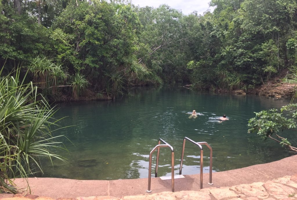 Berry Springs Main Pool