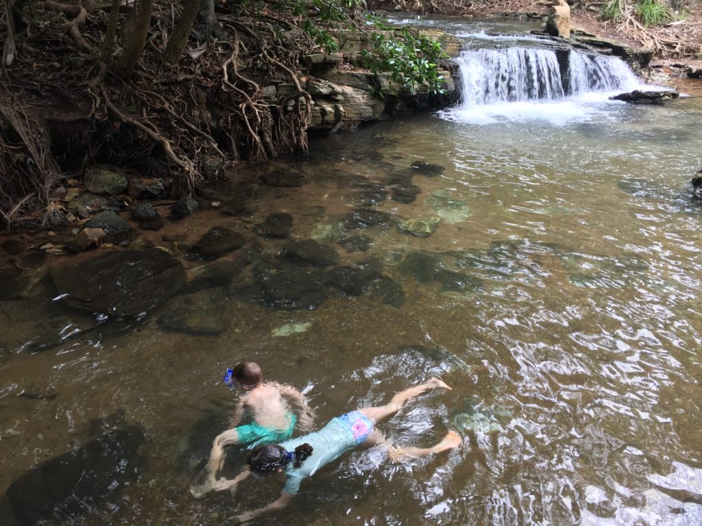 Snorkelling at Berry Springs