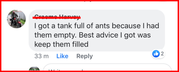 Ants Get In When Leaving Caravan Tanks Empty
